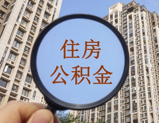长葛退休后查不到公积金明细了吗（退休后公积金查询不到原因）